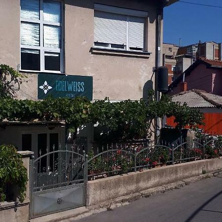 Edelweiss Hostel Stip Kültér fotó
