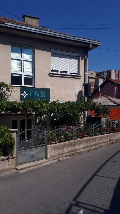Edelweiss Hostel Stip Kültér fotó